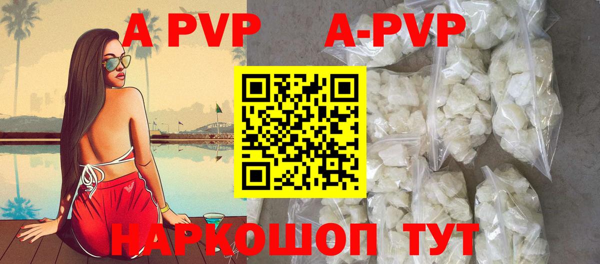 Alfa_PVP СК Люберцы