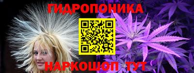 крисы Красноармейск